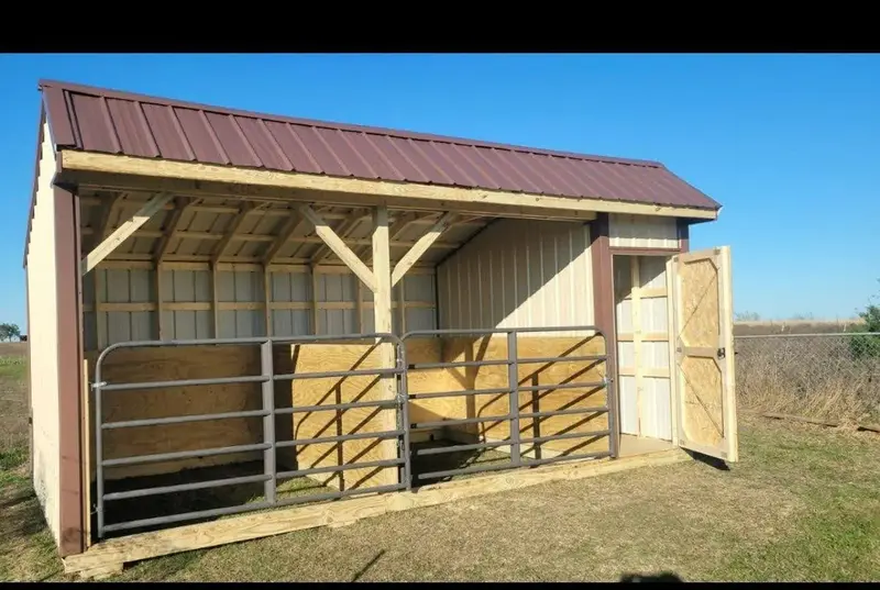 Livestock Shed 11