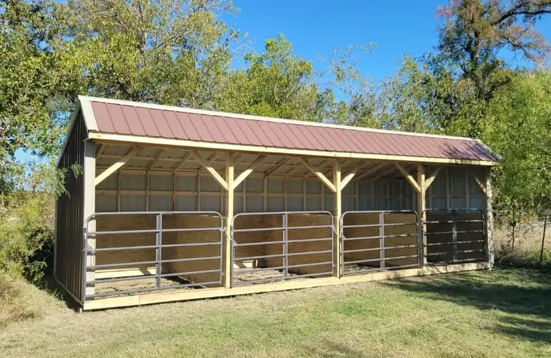 Livestock Shed 8